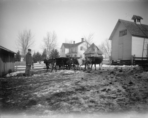 Man posing while tending cows in a pasture in front of a barn. In the background is a fence, farm buildings, and farmhouse. Snow is on the ground.