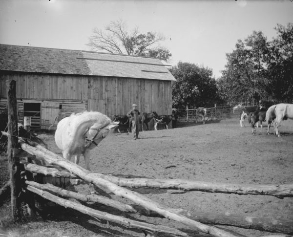 View across fence towards and horses and cows in a corral. A man is standing in the background in front of a farm building.