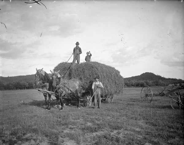Young men and a boy posing standing on and near a wagon full of hay pulled by a team of two horses. The horses are wearing covers on their heads and fly-nets. There is a hay rake on the right. In the background is a forested hill.