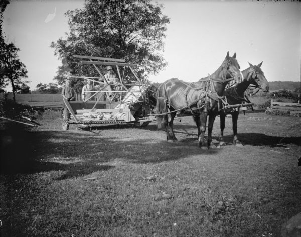 Group of people, one woman and three men, standing and sitting behind a binder drawn by a team of two horses.