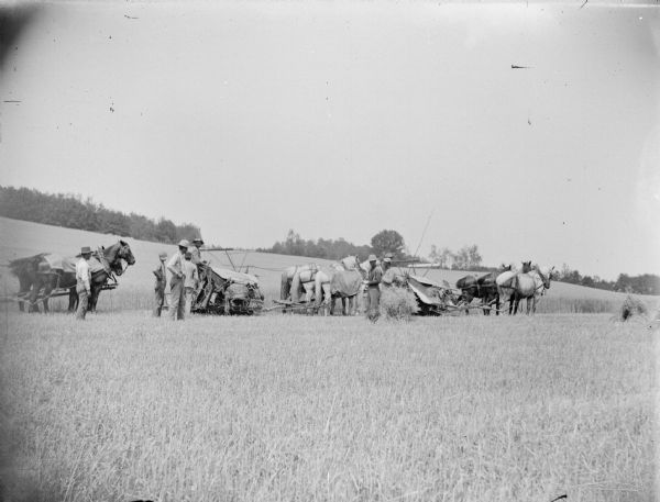 View across field towards a group of men standing near two or three horse-drawn binders. Two men are sitting on the binders, and a team of horses is on the far left pulling equipment (out of frame). There are sheaves of wheat lying in the field near the binders.