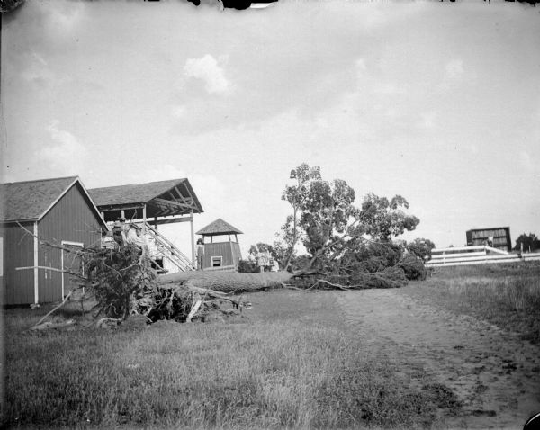 View across open field towards children standing on a downed tree near the racetrack. There are buildings, a fence and a pavilion behind the tree.