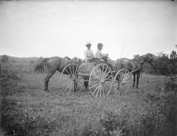 Two women posing sitting in a buggy pulled by a horse wearing blinders and a fly-net. The two women have turned sideways in their seat, and one of them is holding flowers. There is a another woman just behind them who is probably holding the reins of the horse. On the left behind the buggy is a saddle horse eating grass.