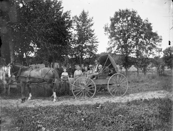 Group portrait of family. Left side view of a horse and buggy on a path, with a boy and man posing sitting in the buggy. Standing behind the buggy are two young girls, two women, and a young man. Behind the group are trees, and beyond are fields and trees on a hill.