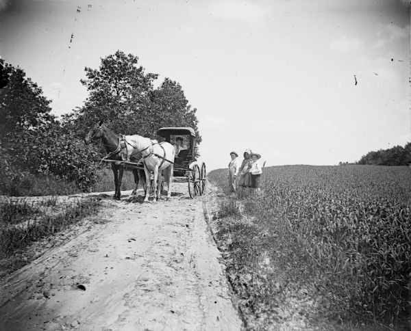 View down unpaved road towards a woman posing sitting in a horse-drawn buggy at a fork in the road. Three children are standing in a field on the side of the road next to her.