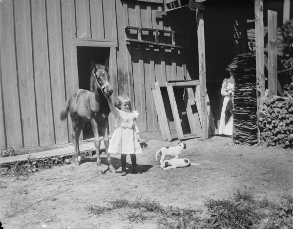 View across yard toward a girl in frilly white dress posing in bright sunlight with her arm raised holding the bridle of a colt, standing near a barn. On the ground beside her lie two short-haired puppies, both with white coats and black spots. On the right, standing just behind a woodpile, is a woman, half-hidden, wearing a long white dress and holding an umbrella.