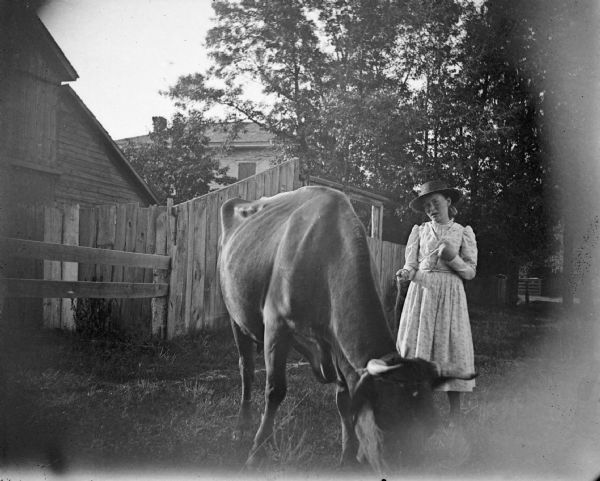 A girl is holding the lead of a cow grazing in the grass. Behind them is a fence, barn, and in the far background obscured by trees is a building that may be a farmhouse.