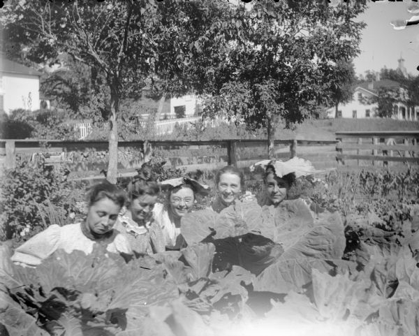 Five women posing sitting behind rhubarb leaves in a fenced-in garden. Two of the women are wearing rhubarb leaves on their heads. In the background are fences and buildings.