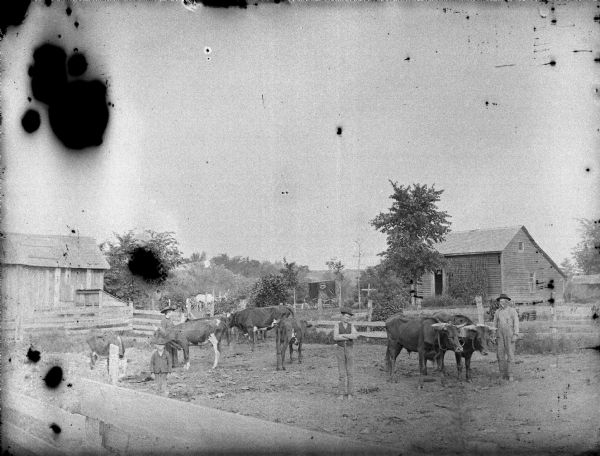 Group portrait over fence of two men, a woman, and a boy posing in a farmyard with cattle and a team of oxen. In the background are farm buildings and a photographer's wagon belonging to Monroe.