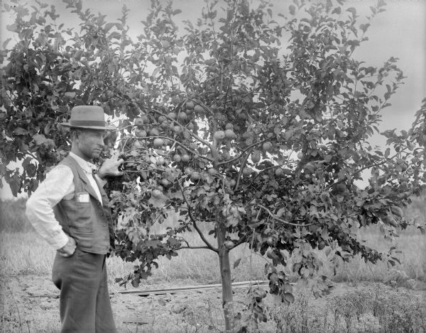 Man posing standing next to an apple tree in a field.