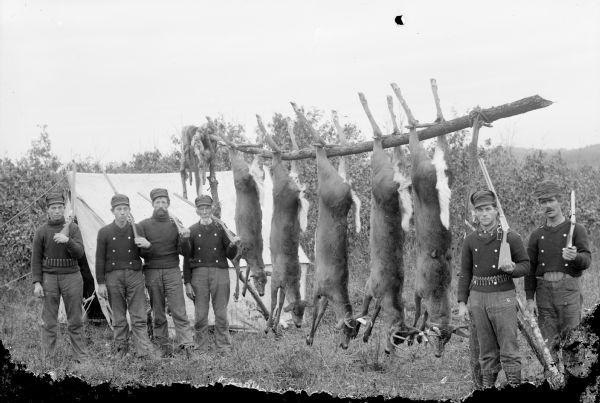 Group portrait of six men posing standing with rifles by five deer strung up on a tree limb near a tent in a field. Other animal pelts are hanging near the back of the limb.