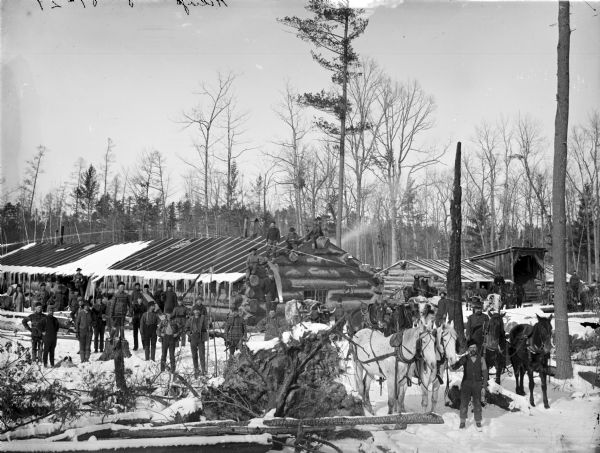 Elevated group portrait of loggers at a logging camp posing in the snow. Some of the men are posing on the roof of the log building in the center. Men are standing with teams of horses in the foreground on the right.