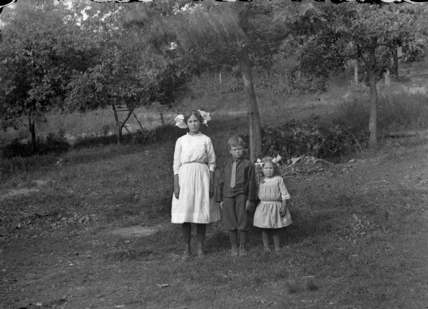 Outdoor group portrait of three European American children posing standing in a field. The girl on the left is wearing a light-colored dress and large hair ribbon. The smaller boy in the center is wearing dark-colored knickerbockers and necktie. The smallest girl on the right is wearing a light-colored dress and hair ribbons in her pigtails.