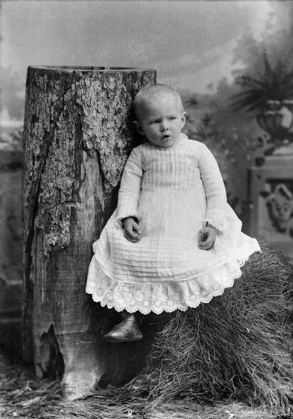 Studio Portrait in front of a painted backdrop of an unidentified, European American child posing sitting on a prop tree stump. The child is wearing a long white dress with lace trim.