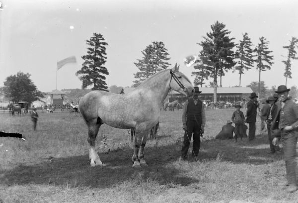 Man displaying a horse, probably at the Jackson County Fairground, which is in the background, with a line of horses and buggies and a grandstand. A group of people are standing on the right.