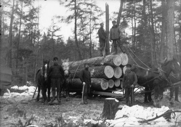 Exterior view of a group of men posing standing on top of and around logs on a sled pulled by a team of horses.