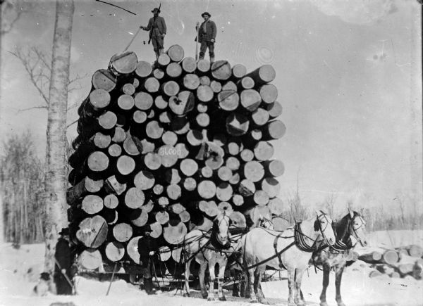 Copy photograph of a group of men posing together with a tall stack of logs on a sled pulled by a team of four horses. Two of them men are standing on the top of the stack of logs.
