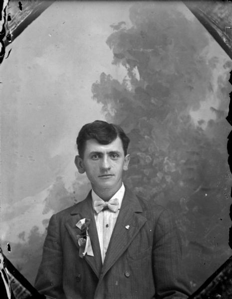 Waist-up studio portrait in front of a painted backdrop of a European American man posing sitting. He is wearing a dark-colored suit coat, bow tie, lapel ribbon, and lapel pin. Identified as Henry Arndt.