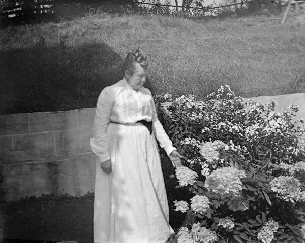 Slightly elevated outdoor portrait of an elderly woman posing standing next to a flowering bush in front of a stone wall. She is wearing a light-colored dress. The woman is identified as Mrs. Wheeler, later the wife of Abe Bailey.