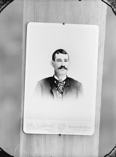 Copy photograph of a quarter-length vignetted studio portrait on a carte-de-visite of an unidentified man with a moustache posing sitting. He is wearing a dark-colored suit coat, necktie, and tie pin.