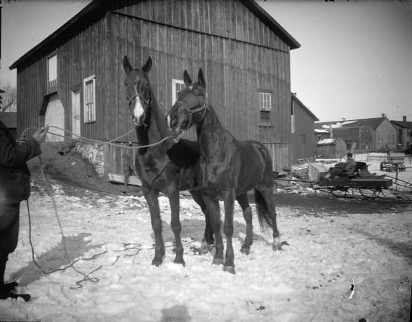 Outdoor portrait of a man, partially seen on the left, holding the reins and displaying two horses standing in the snow. There is a man posing sitting in a sleigh in the background on the right, near a two-story barn. The barn is identified as being built by Price for the stagecoach, and later owned by Abe Bailey, on the northeast corner of Third and Fillmore Streets.