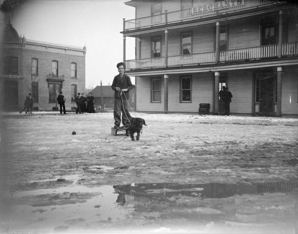 Outdoor view of a boy posing standing on a sled pulled by a dog on a snow-covered and muddy street. Location identified as in front of the Merchant's Hotel on the right, and the Falls House on the left, located on the south side of Fillmore Street at South First Street.