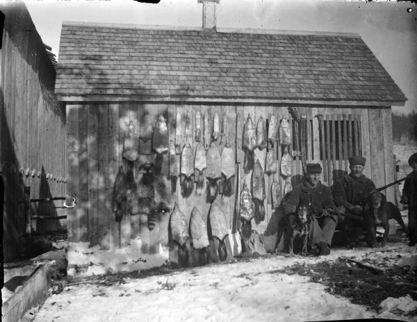 Outdoor group portrait of two men, two dogs and a boy posing sitting and standing on the snow-covered ground on the right side of a small wooden structure. Displayed on the exterior of the shed are animal skins, primarily raccoon, skunk, and muskrat.