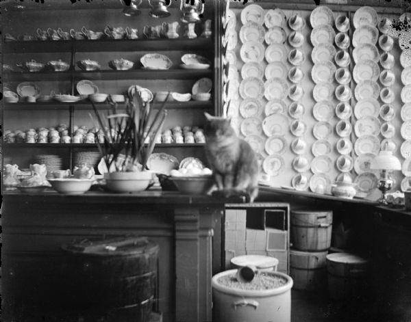 Indoor view of a cat sitting on a counter among a display of chinaware. Some of the pieces are on shelves, and other pieces are hanging on the wall. There are boxes, baskets, and other containers on the floor. Identified as the store of Abslom Erickson, who specialized in chinaware.