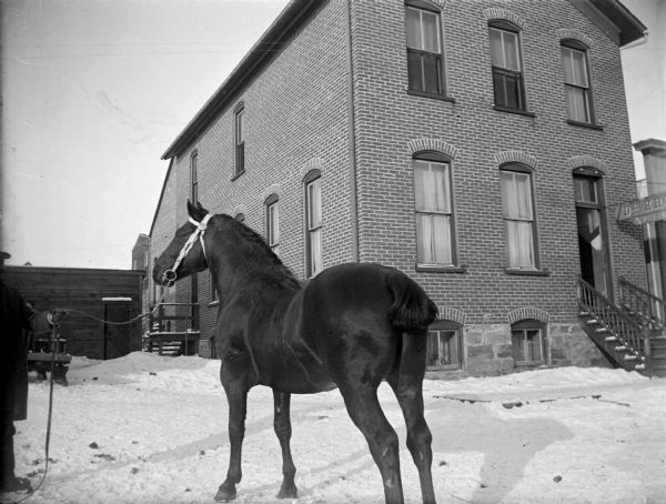 Outdoor view of a man posing standing on the far left. He is holding the reins of a horse standing on the snow-covered ground in front of the Van Schaick building at 13 South First Street.