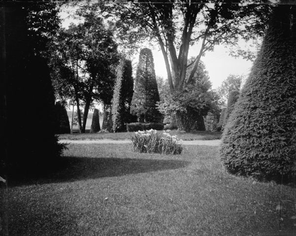 Exterior portrait of a well-manicured yard with sculpted shrubs. Identified as the yard of the Spaulding residence.