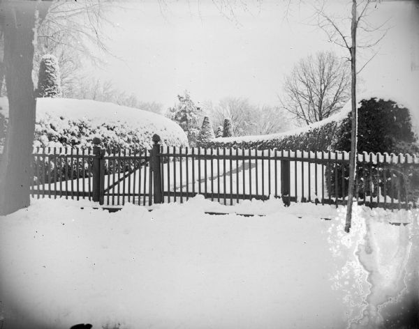 Outdoor view of a picket fence with a gate around a snow-covered yard with sculpted shrubs. Identified as the Spaulding residence.