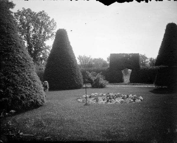 Exterior portrait of a well-manicured yard with sculpted shrubs. A young girl is peeking around the large shrub on the left. Identified as the yard of the Spaulding residence.