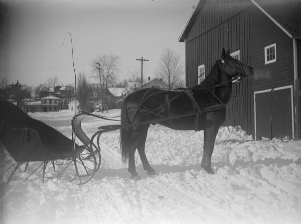 Right side view of a horse pulling an empty sleigh standing on the snow-covered ground. In the background on the right is a barn. There are houses in the far background.