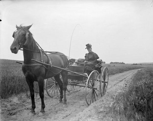View from side of unpaved road towards a woman posing sitting in a wagon holding the reins of a single horse in a rural area with open fields.