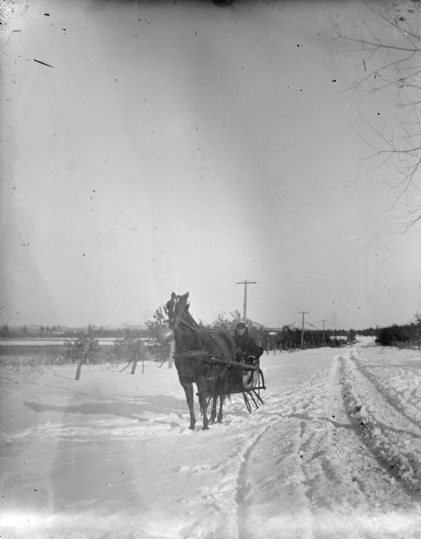 View from side of road towards a man posing sitting in a sleigh pulled by a single horse near the side of a snow-covered road.