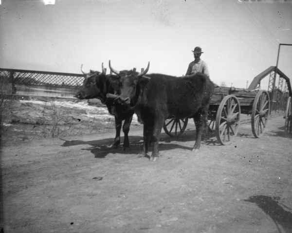 View across unpaved road towards a man posing sitting in a wagon pulled by a team of two oxen. There is a bridge behind them on the right. Identified as probably the Harrison Street Bridge. There is a railroad bridge in the far background.