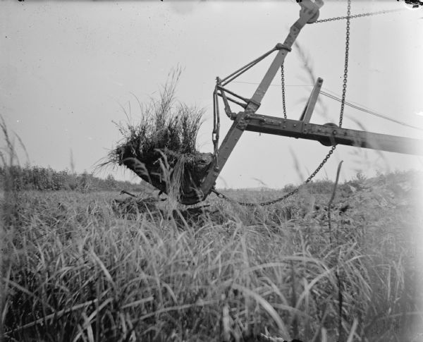 A walking dredge in action in a cranberry marsh. Probably the walking dredge at Gebhardt Marsh mentioned in the obituary of C.J. Van Schaick, and in the Badger State Banner Semi-Centennial Anniversary.