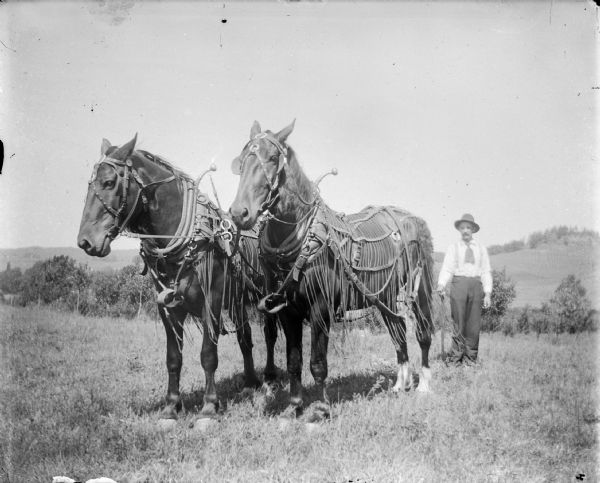 A man standing outdoors in a field behind two horses holding the reins. The horses are wearing fly nets and blinders.