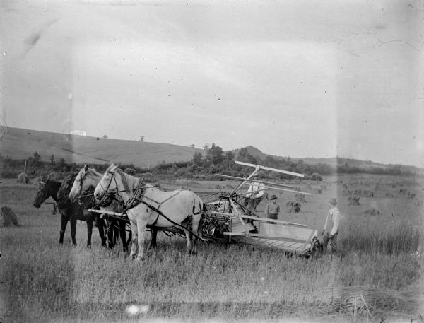 View across field towards three men operating a binder and threshing machinery pulled by a team of four horses.