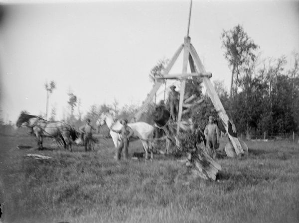 View across field towards a group of four men standing with a stump-pulling rig. Three horses on the left are pulling the tree stump.