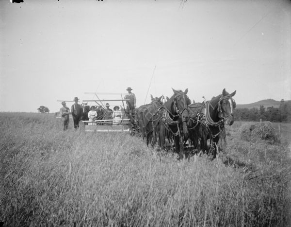 Exterior portrait of a group of men and women posing standing near a thresher pulled by a team of four horses wearing fly nets.