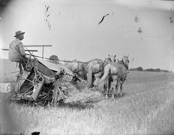 View towards a man posing sitting on threshing machinery pulled by a team of three horses in a field.