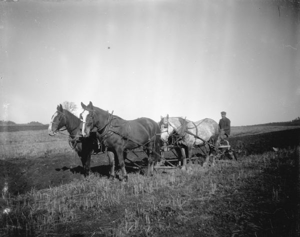 View across field towards a man sitting on a plow pulled by a team of four horses.