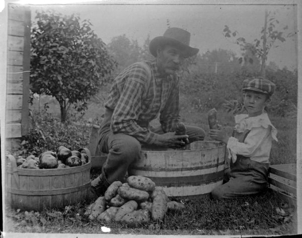 Copy photograph of an outdoor portrait of a man and boy posing sitting around a tub of potatoes on a lawn near a building.