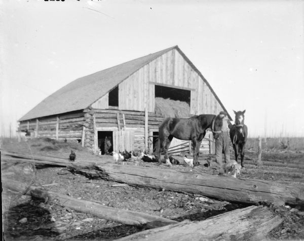A man is displaying two horses among chickens in front of a barn. There is a dog standing in front of the horses.