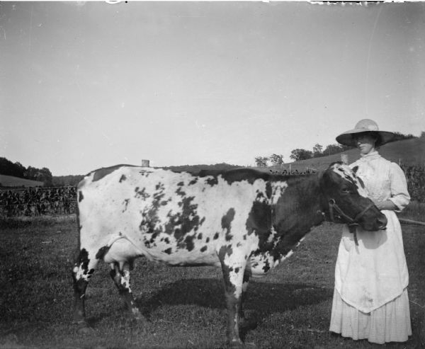 Portrait of a woman posing standing and displaying a single cow in a field.