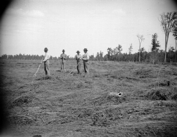 View across field towards four men standing in a field and holding tools in a recently reaped field.