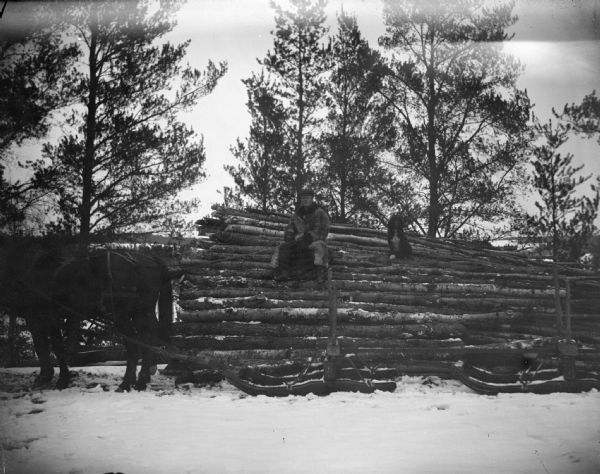 View towards a man and dog posing sitting on a pile of logs on a sled on snow-covered ground pulled by a single horse.