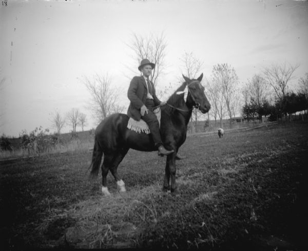 View of a man posing sitting on a horse in a field. In the background is a sheep, and in the distance a fence and what may be a farm building.