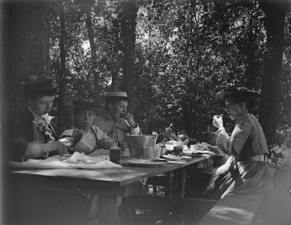 View towards of four women sitting and eating at a picnic table in the shade of trees.